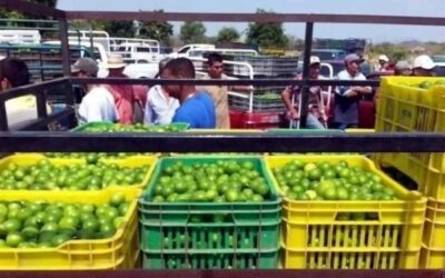 Dificultan extorsiones el combate a la inflación en México