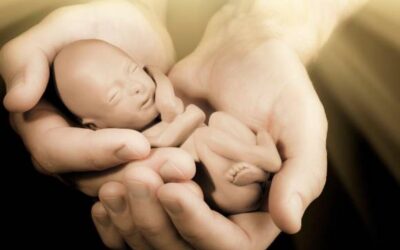 Consideran regresiva resolución que prohíbe enseñar el respeto a la vida